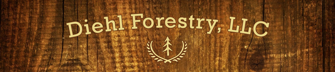 Diehl Forestry